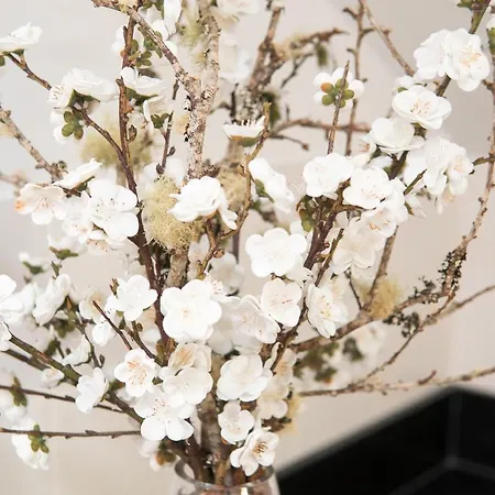 Ourmadeira - Aguia 아파트 푼샬